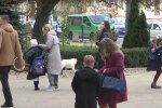 Школярі, фото: кадр з відео