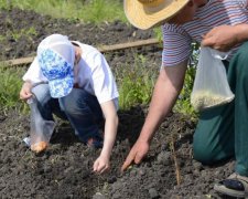 Відчуження землі по-новому: що потрібно знати українцям
