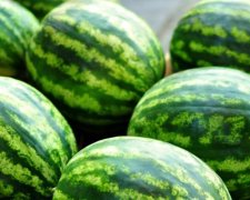 Как правильно выбрать арбуз: главные советы