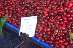 У Мелітополі впарюють черешні за "кусючими" цінами - одна нещасна склянка за сотні гривень