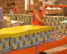 Пакунок малюка, скріншот: YouTube