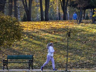 Осінь, фото: Unian