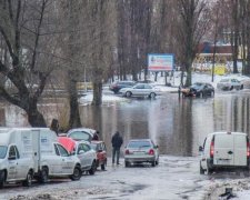 Даже не искали: пропавшая Дана Волкова все это время была под носом у немощных копов