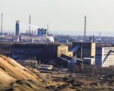 Путин сделал ставку на Курченко в Украине