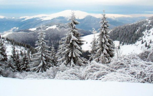 Невероятные пейзажи: фотограф показал зимние Карпаты во всей красе

