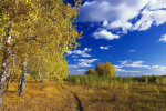 Ранняя осень, фото из открытых источников