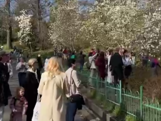 Українці, кадр з відео