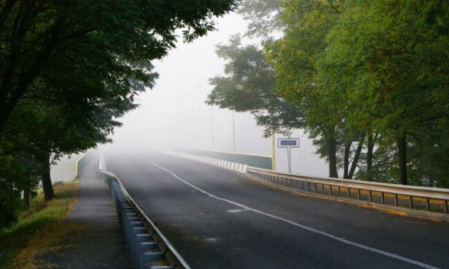 Куди подітися дітям: вчителі Житомирщини вийшли на мітинг і перекрили дорогу