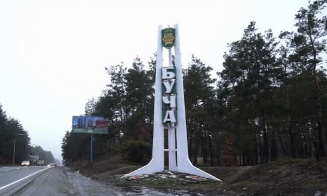 Бучанский лес вернут государству