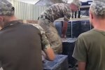 На Закарпатье пограничники задержали контрабандистов, скриншот с видео