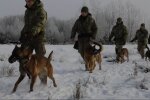 в Кинологическом учебном центре, скрин с видео