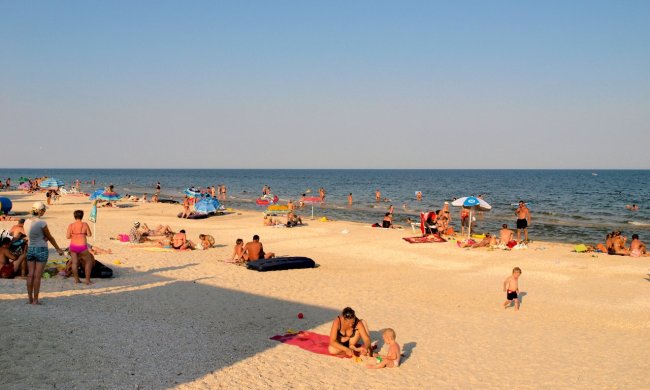 На популярному українському курорті мерзенні чудовиська захопили пляжі: монстри потрапили на відео очевидців