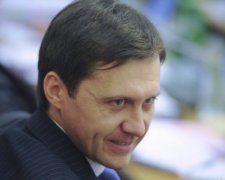 Экс-министр Шевченко «подарил» олигарху 50 тыс. га с залежами янтаря 