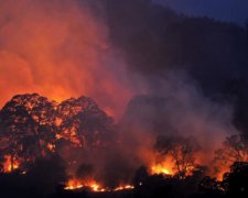 Восемь тысяч спасателей тушат пожар в Калифорнии (фото)