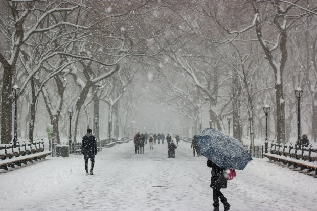 Погода на 3 січня: Україну накриє сніговою ковдрою