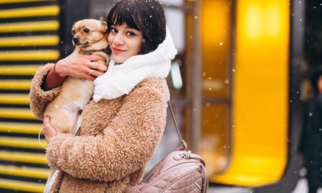 Погода, фото freepik