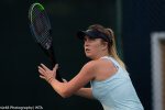 Еліна Світоліна, WTA