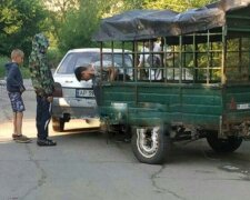 В Запорожье подростки выгрузили прицеп с мусором в посадке - "Перегниет"