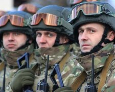 У Львові з'явився свій "комісар Рекс": чотирилапому безхатьку одягли погони, - відео