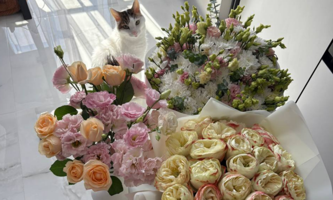 Букеты цветов, котик, изображение: Знай.ua