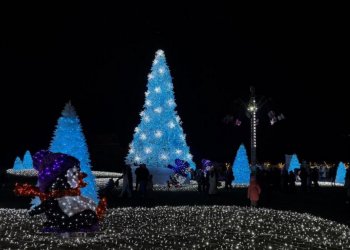 Українці, Новий рік, Добропарк, фото із соцмереж