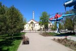 Весна у жовтні: в Запоріжжі розквітла фіалка, яскраві фото