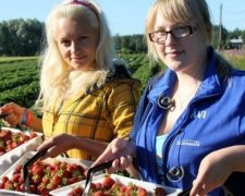 В этом году в Польше рекордное количество "заробитчан"