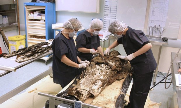 Наука уже не будет прежней: ДНК древнейшей мумии открыла ученым правду
