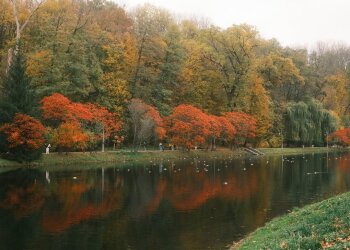 Кого не можна виганяти з дому 30 жовтня і куди треба покласти сало: прикмети та заборони на Зіновія