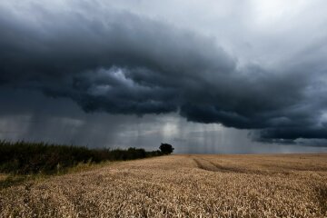 Погода на 5 октября: дожди подмочат настроение на выходных