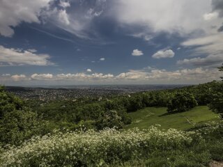 погода в Украине, фото pxhere