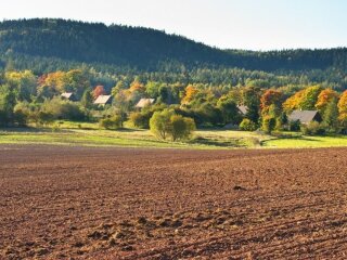 Продажа земли, фото: Zik