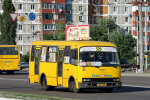 Маршрутки в Києві: пасажири в громадському транспорті