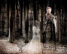 Волосы дыбом: призрак случайно попал в фотоловушку
