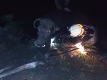 фото: ГСЧС во Львовской области