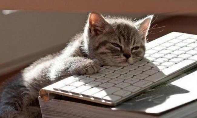 Відсутність хобі вкорочує життя