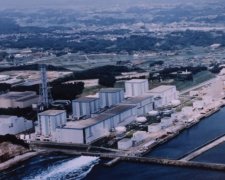 Greenpeace заявил о мутантах возле Фукусимы-1