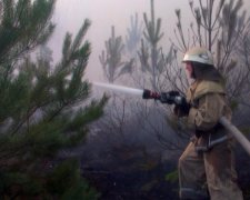 Майже 100 га лісу горіло на Хмельниччині (фото)