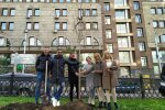 У Києві посадили тополі, фото: Київзеленбуд
