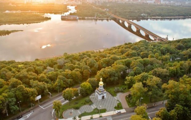 Метелики в Києві: вчені розкрили головний секрет приманки
