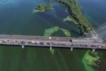 Українцям пояснили, чим так небезпечне цвітіння дніпровської води