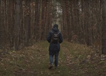 погода в Украине, скриншот из видео