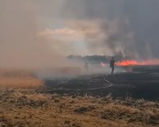 Під Харковом спалахнуло пшеничне поле, скріншот відео