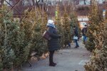 Ялинковий базар, новорічна ялинка - фото Інформатор