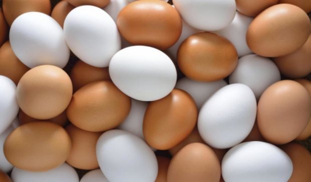 В Украине сократилось производство мяса, молока и яиц