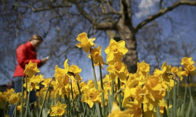 Погода на 25 апреля: стихия сжалилась над украинцами
