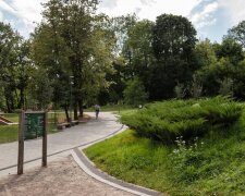 Ремонт парка «Замарстыновский» во Львове
