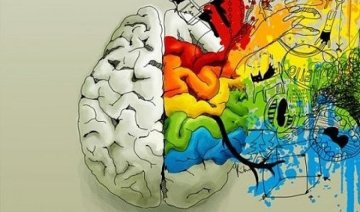 Чому мозок підлітків емоційніше реагує на інформацію