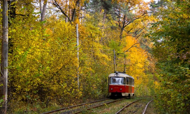 Погода в Україні: справжньої суворої осені залишилося чекати недовго