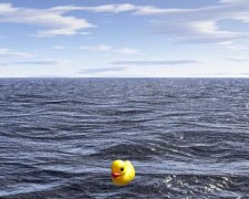 Жара подарила миру новый мем